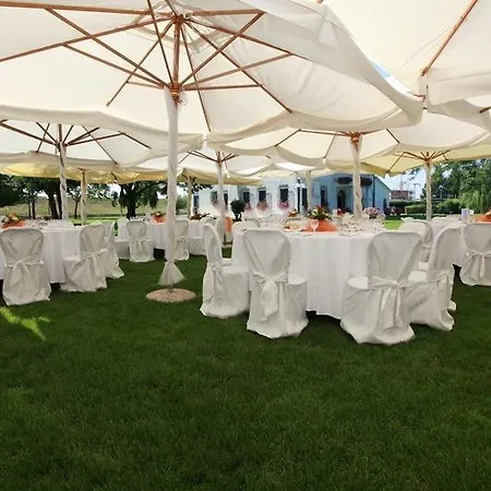 Dei Dogi